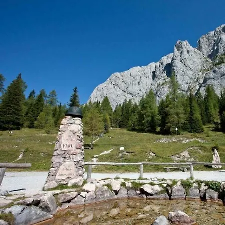 Stella Alpina *