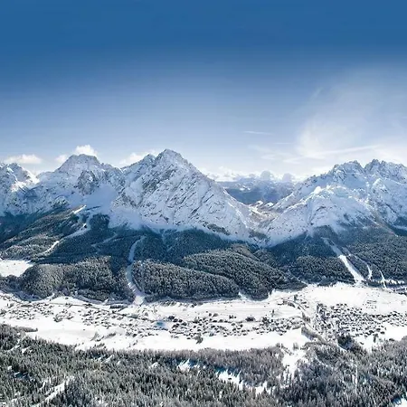 Stella Alpina